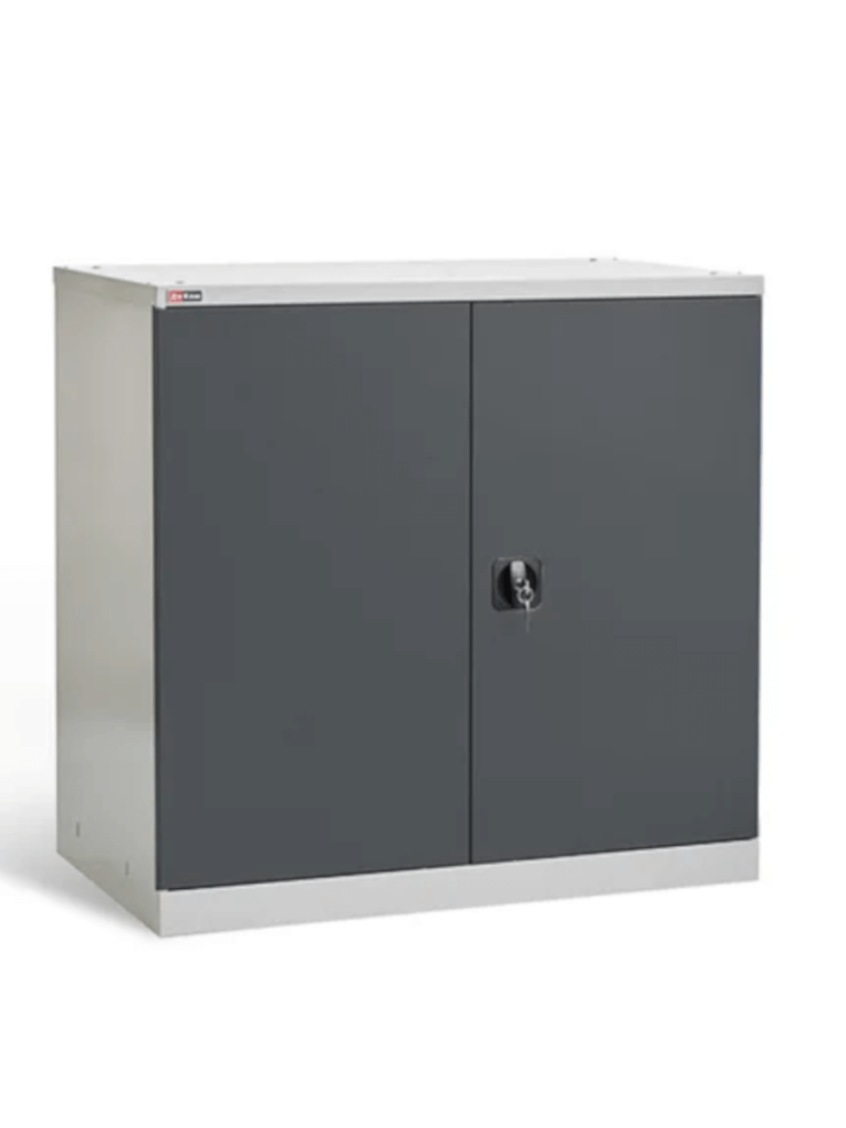 Шкаф инструментальный ДиКом ВЛ-051-02 купить в Екатеринбурге Шкаф инструментальный ДиКом ВЛ-051-02 купить в Екатеринбурге