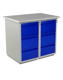 Верстак Практик Profi WT100.WD3/WD3.000